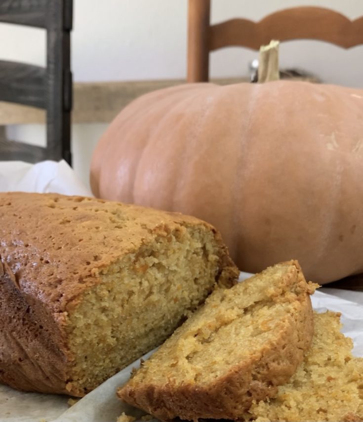 Pumpkin Bread 